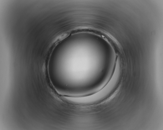 X0000113740969200909301008