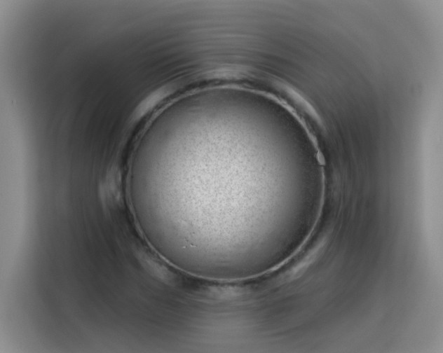 X0000113740970200909301008