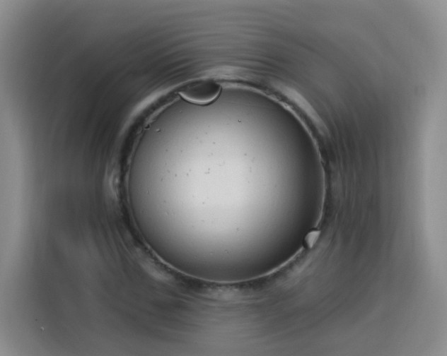 X0000113740971200909301008