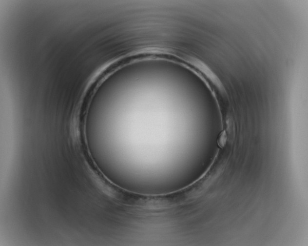 X0000113740972200909301008