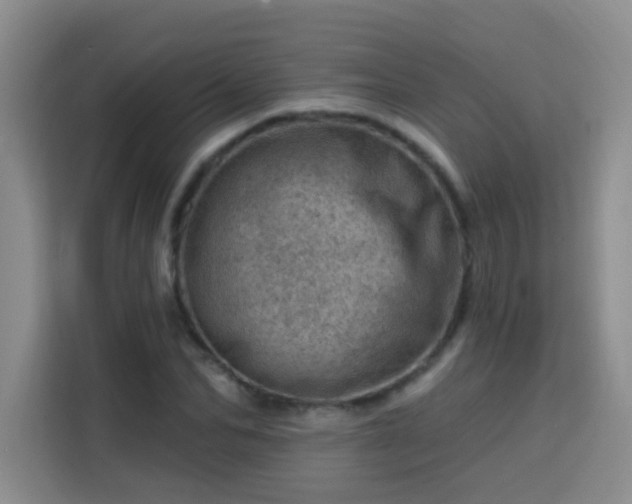 X0000113740974200909301008