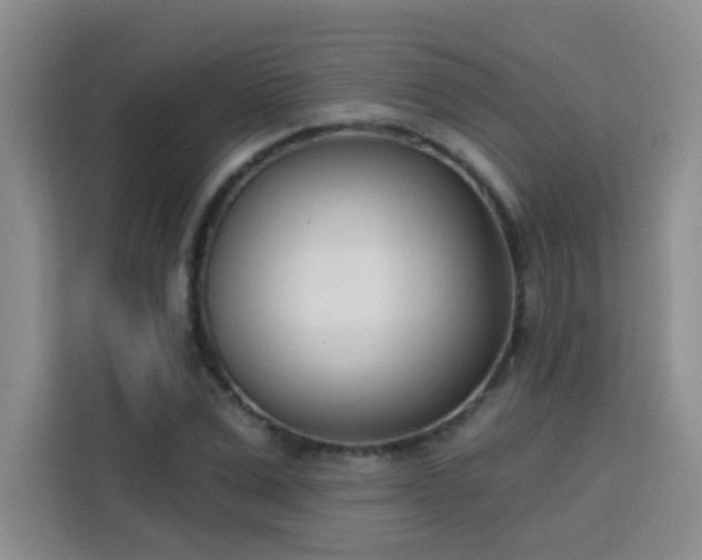 X0000113740975200909301008