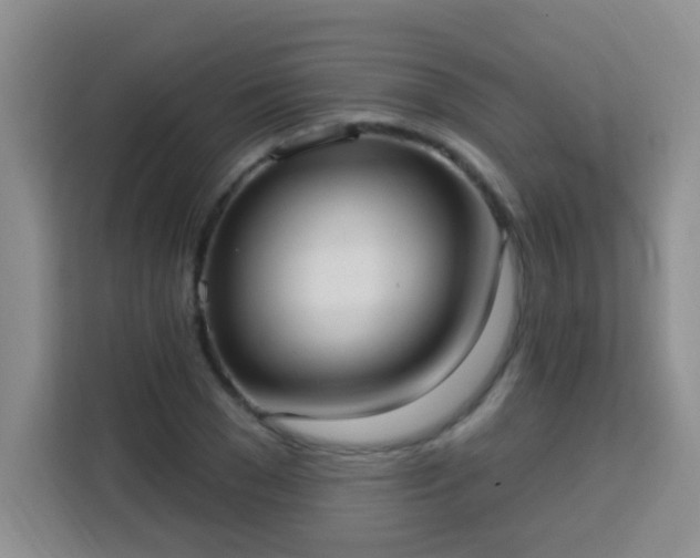 X0000113740977200909301008