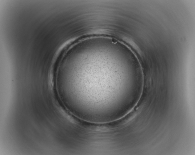 X0000113740979200909301008