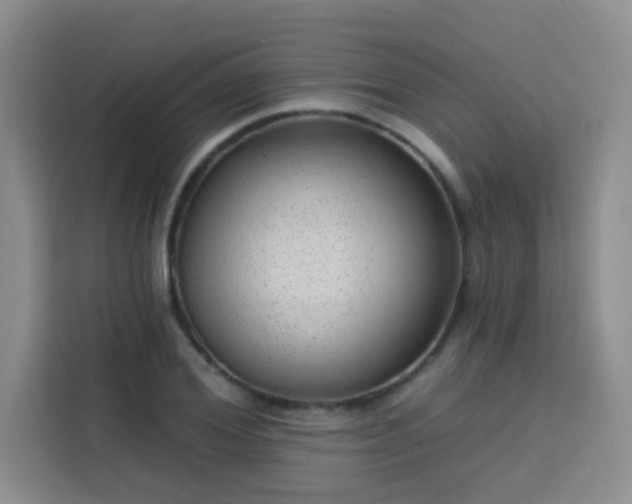 X0000113740980200909301008