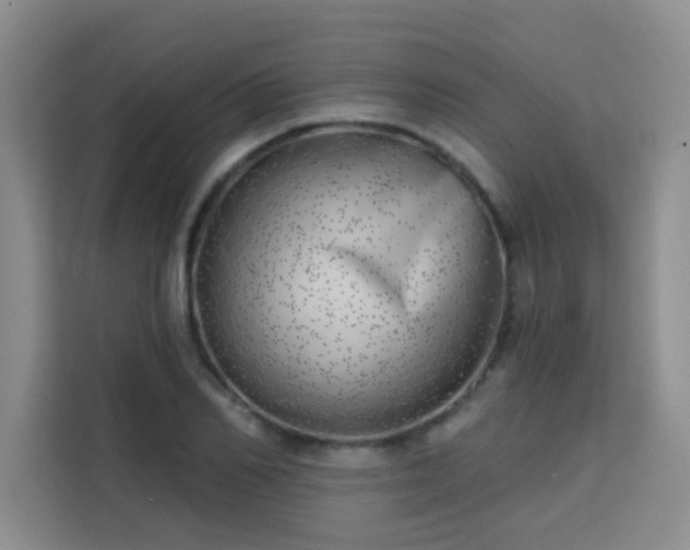 X0000113740982200909301008