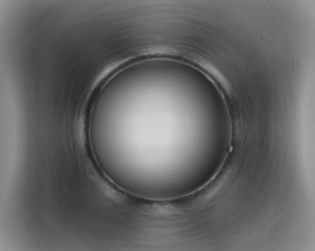 X0000113740983200909301008