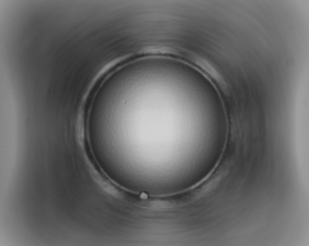 X0000113740984200909301008