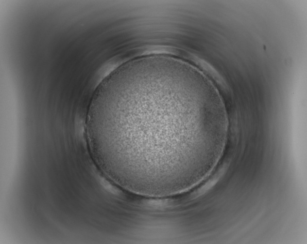 X0000113740985200909301008