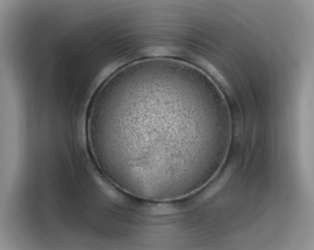 X0000113740986200909301008