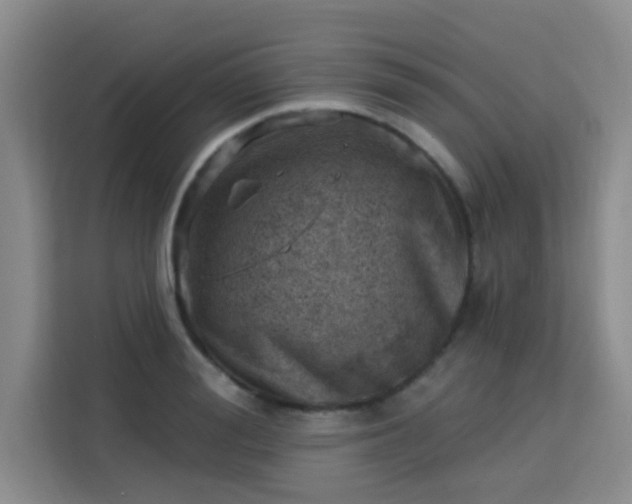 X0000113740988200909301008