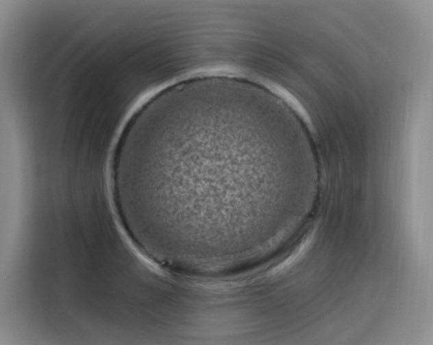 X0000113740989200909301008