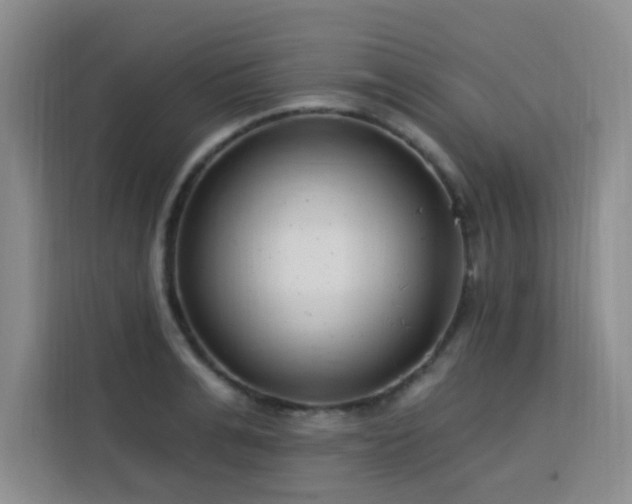 X0000113740991200909301007