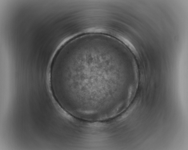 X0000113740992200909301007