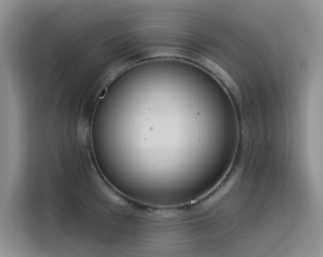 X0000113740993200909301007