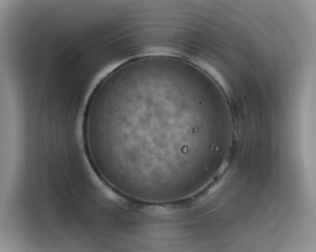 X0000113740995200909301007