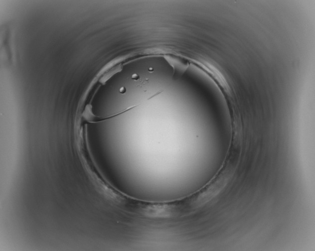 X0000113741000200909301007