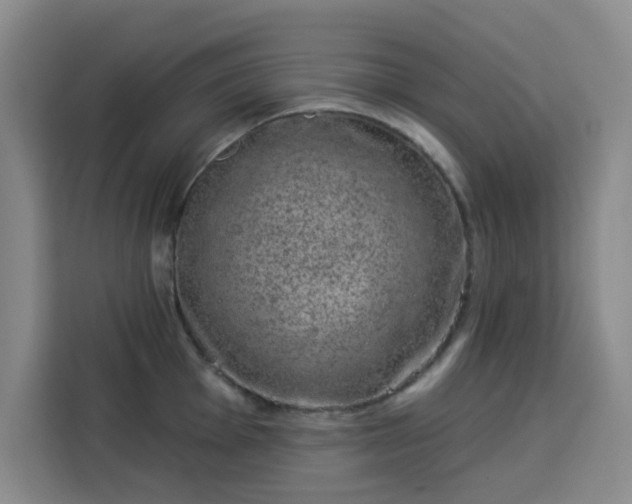 X0000113741001200909301007