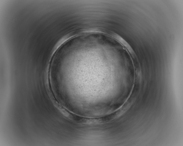 X0000113741002200909301007