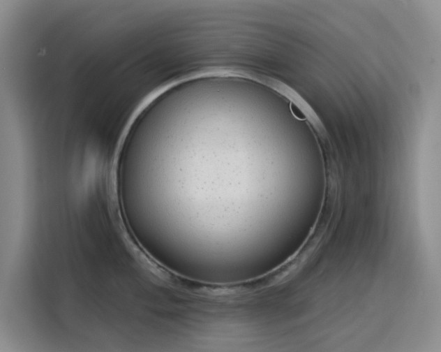 X0000113741004200909301007