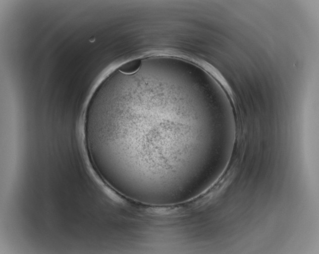 X0000113741005200909301007