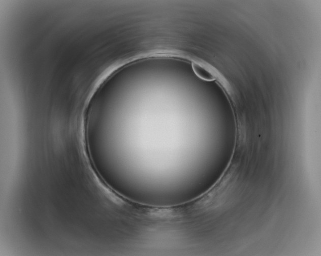 X0000113741006200909301007