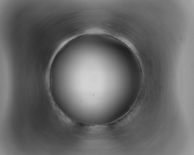 X0000113741008200909301007