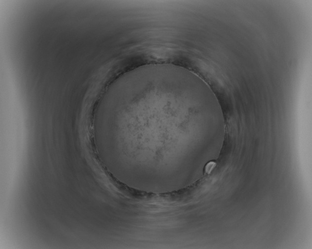 X0000113741009200909301007