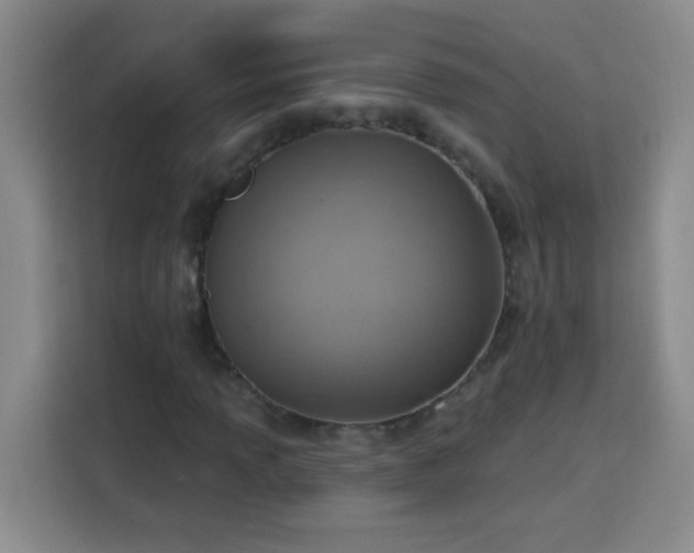 X0000113741013200909301007