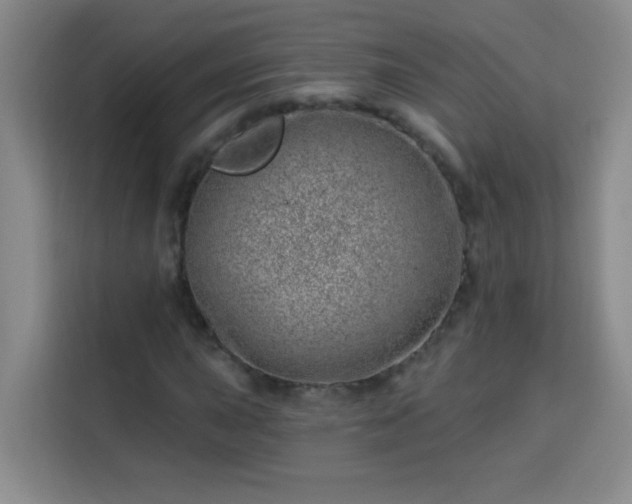 X0000113741015200909301007