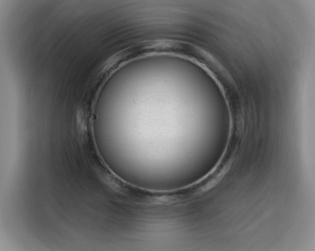 X0000113741017200909301007