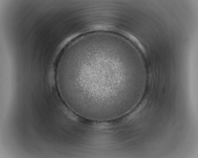 X0000113741019200909301007