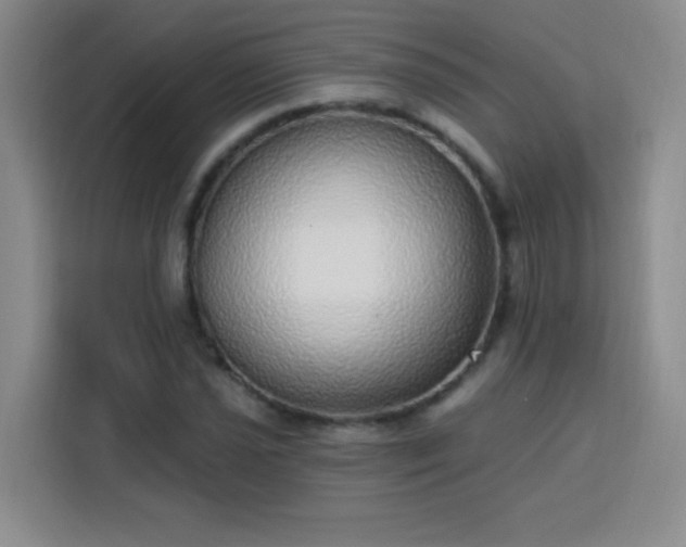 X0000113741021200909301007