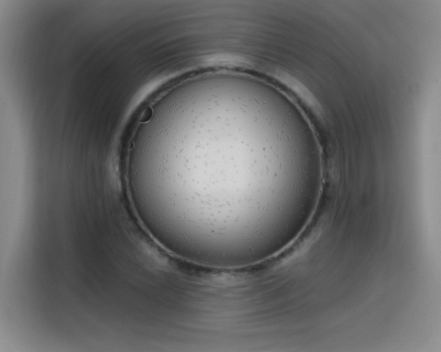 X0000113741022200909301007