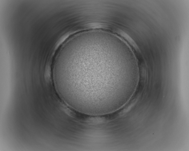 X0000113741023200909301007