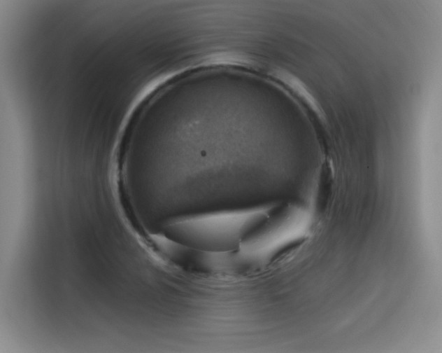 X0000113741024200909301007