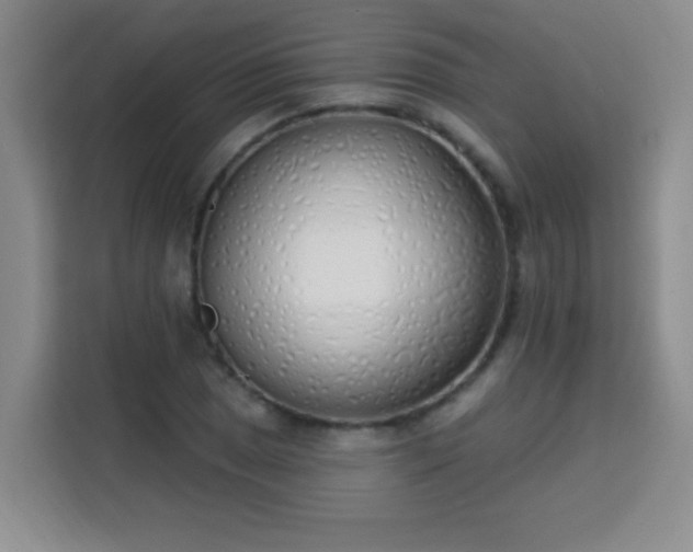 X0000113741025200909301007