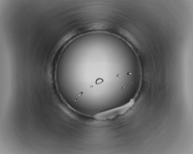 X0000113741026200909301007