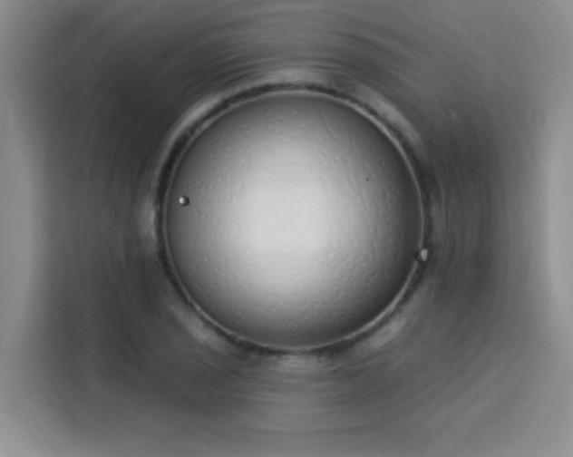 X0000113741029200909301007