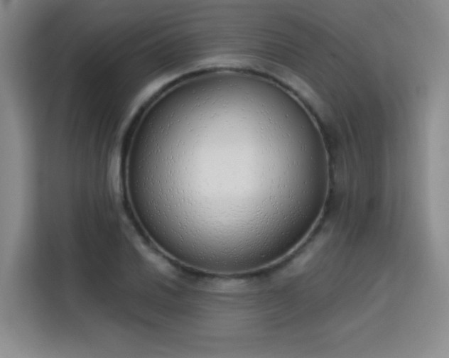 X0000113741030200909301007