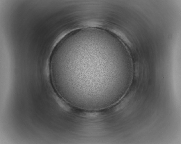 X0000113741031200909301007