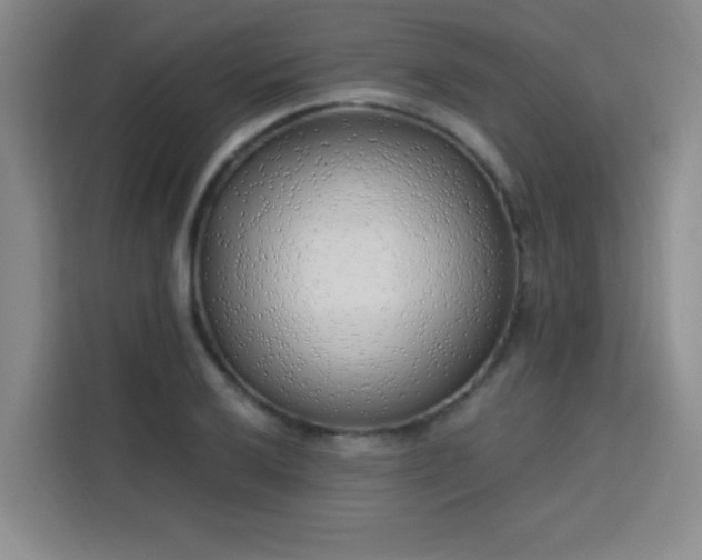 X0000113741032200909301007