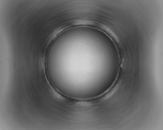 X0000113741033200909301007