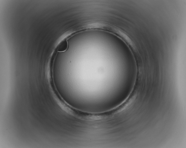 X0000113741034200909301007