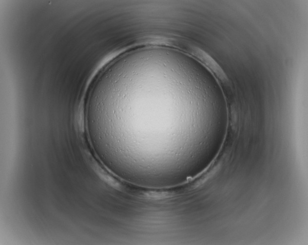 X0000113741036200909301007