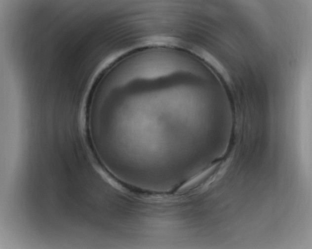 X0000113741037200909301007