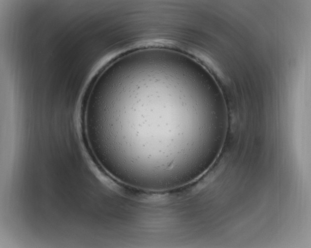 X0000113741038200909301007