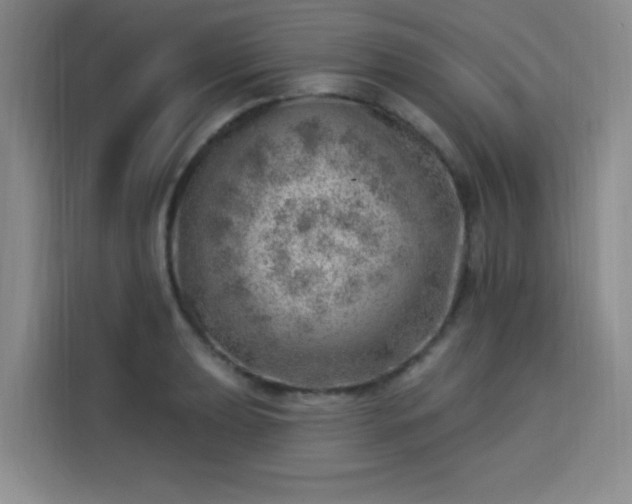 X0000113741039200909301007