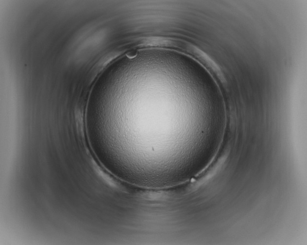 X0000113741041200909301007