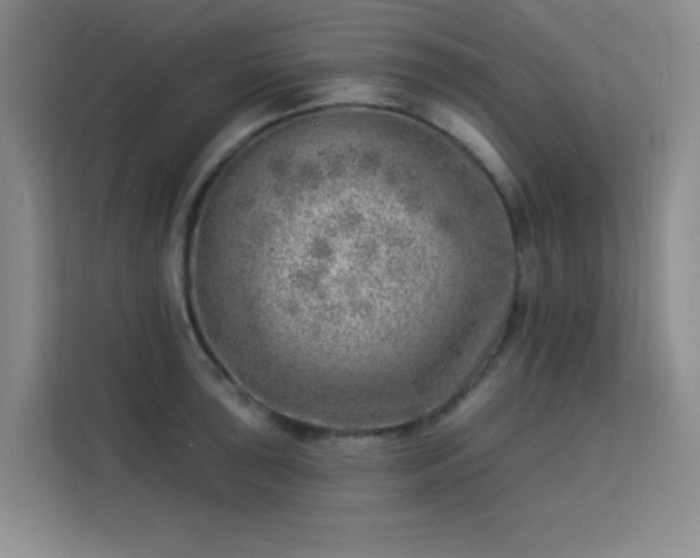 X0000113741043200909301007